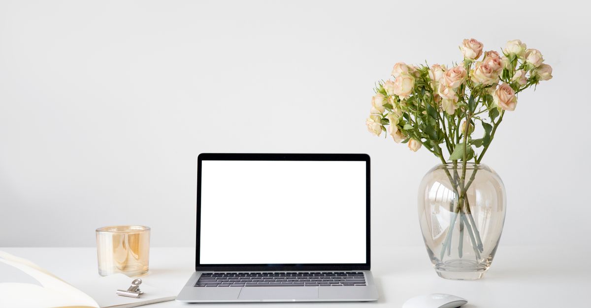How One Broken Form Cost an Agency Months of Leads